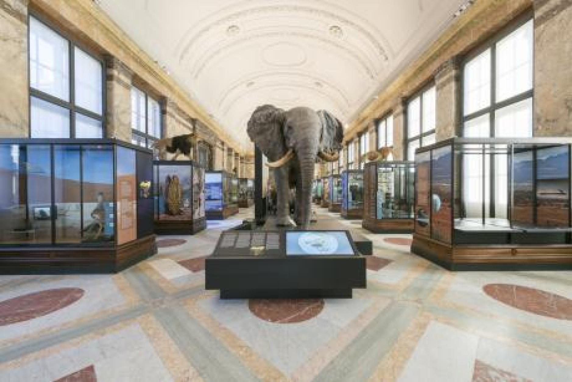 Maand van de wetenschap | Koninklijk Museum voor Midden-Afrika